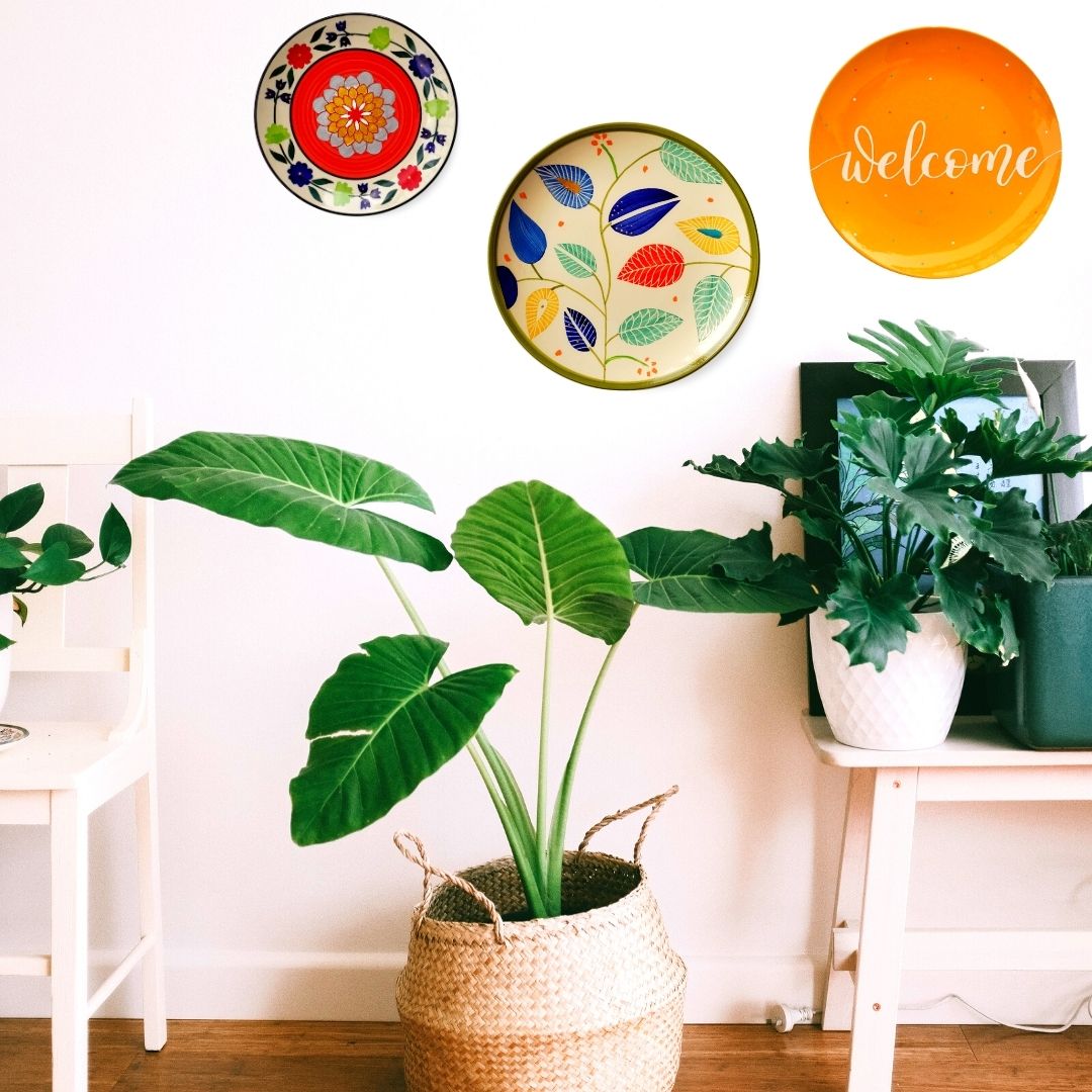 Wall Plates Decor Set of Decorative wall plates Buy Online India