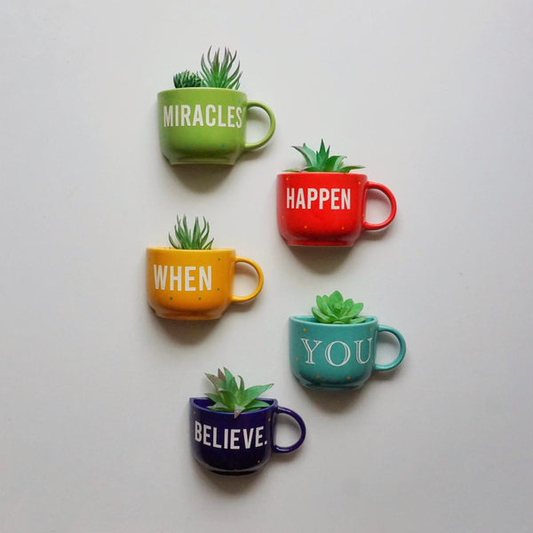 Miracles Cup Planters - Mug Planters - Wall Garden Decor - Ceramic Cup Planters for Wall | Gift Planters | | Plant Lover Gifts - Buy Online India - Free Shipping