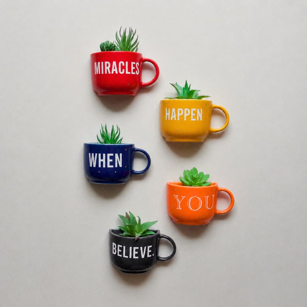 Miracles Gift planters | Wall Planters Decor | Ceramic Home Decor