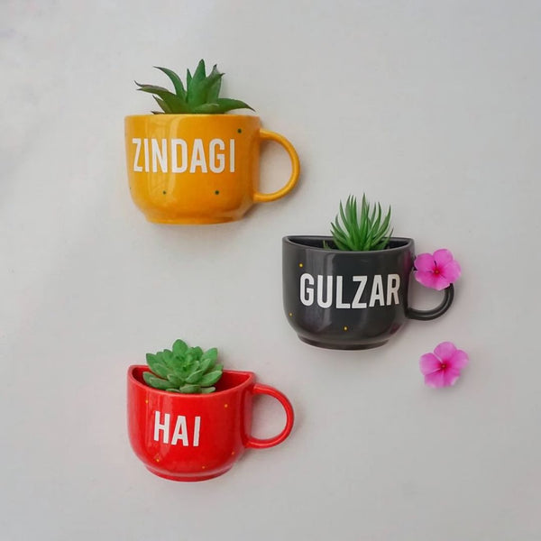 Zindagi Gulzar Hai | Planters on Wall | Ceramic Planter Table | Personalised Gift | Home Decor