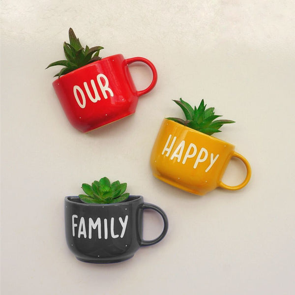 Three decorative mugs with plants inside, labeled 'OUR', 'FAMILY', and 'HAPPY' on a light background.