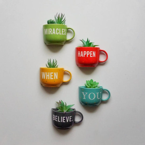 Five colorful mugs with succulents and motivational phrases on a light gray background