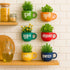 Hindi Happy Words | Wall Planter Set | Personalised Gift | Home Decor