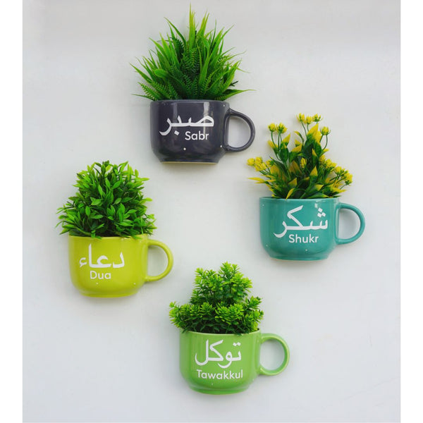 Four wall-mounted mugs with plants inside, each labeled with different Arabic words.