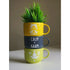 Calm > Kaam | Wall Cup Planters | Home Decor | Quirky Gifts