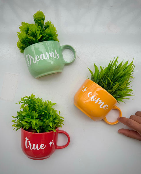 A set of three ceramic wall planters in red, blue, and yellow colors with green plant sprouts. Each planter has a different motivational word written on it: 'DREAMS', 'TRUE', and 'COME'.