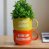 Plant Positive Vibes | Cup Planters with Quotes Collection | Ceramic House Warming Gift | Home Wall Decor