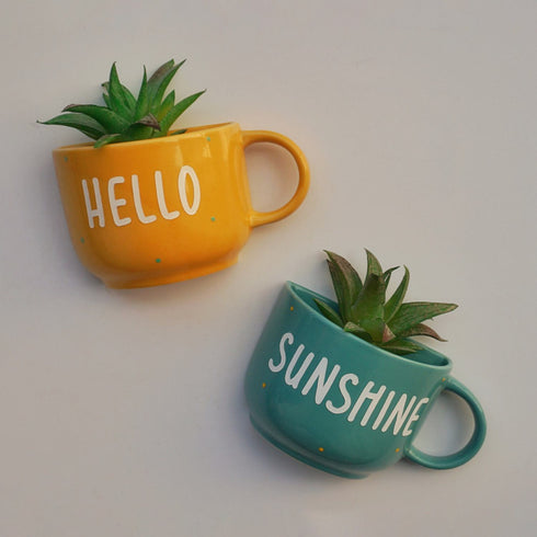 HelloSunshineCupPlanter