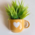 Heart Planter on Wall | Cup Planters on Table | Gift Planters | Home Decor