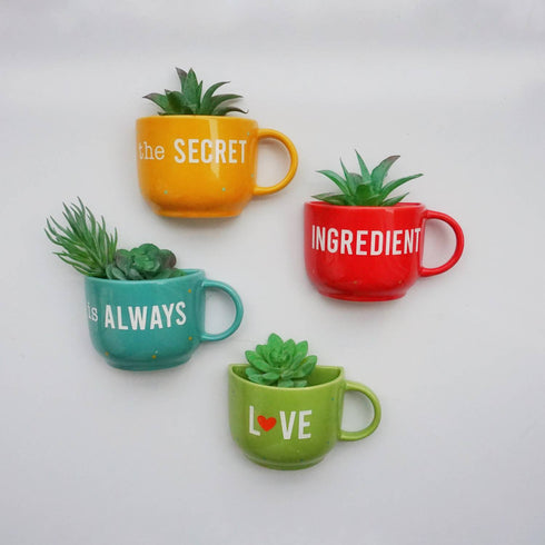 A set of four ceramic cup planters in various colors, each with a different phrase written on it, displayed with small plants inside.
