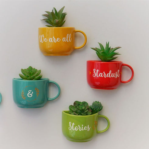 Stardust & Stories Cup Planters | Personalised Gifts | Home Decor