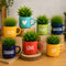Mystery Cup Planter 🌿 | Any colour. Any word. Always with a plant!