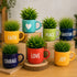 Mystery Cup Planter 🌿 | Any colour. Any word. Always with a plant!