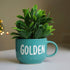 Artificial Plants - For your Planters