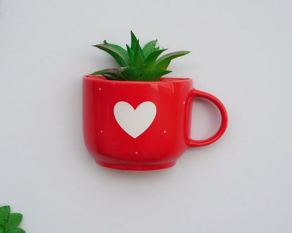 Heart Planter on Wall | Cup Planters on Table | Gift Planters | Home Decor