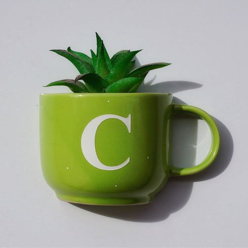 Monogram Cup Planters | Table Accessories | Personalised Gift | Wall Decor