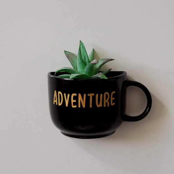 Cup Planters - Wall Garden Decor - Adventure - Home Decor - Succulent Planter - Small Pot - Home Office Accessories - Study Room Decor - Personalised Gifts - Buy Online India - Free Shipping