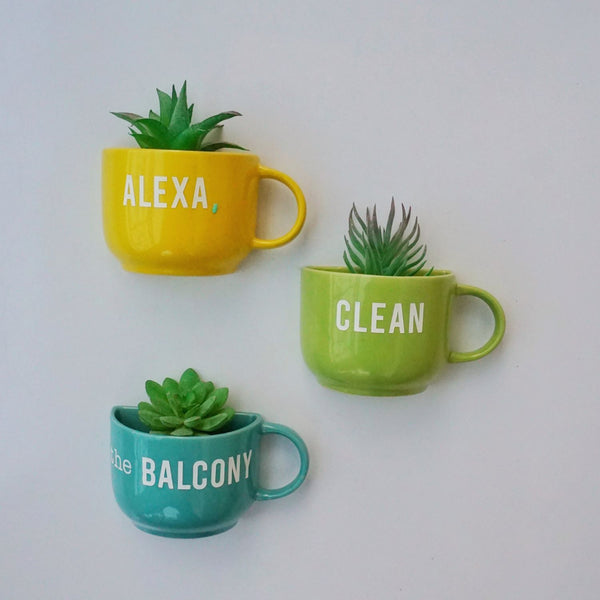 Cup Planter - Mug Planter - Wall Garden Decor - Alexa Clean the Balcony - Garden Decor - Succulent Planter - Small Pot - Home Office Accessories - Study Room Decor - Personalised Gifts - Buy Online India - Free Shipping