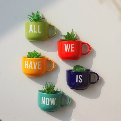 Cup Planter - Mug Planter - Wall Garden Decor - ALL we have is now - Garden Decor - Succulent Planter - Small Pot - Home Office Accessories - Study Room Decor - Personalised Gifts - Buy Online India - Free Shipping