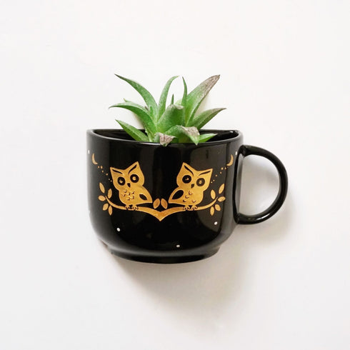 Black Owl Cup Planter - Mug Planter - Wall Planter - Garden Wall Decor - Balcony Decor - Succulent Planters - Small Ceramic Pots - Plant Lover Gifts - Buy Online India - Free Shipping
