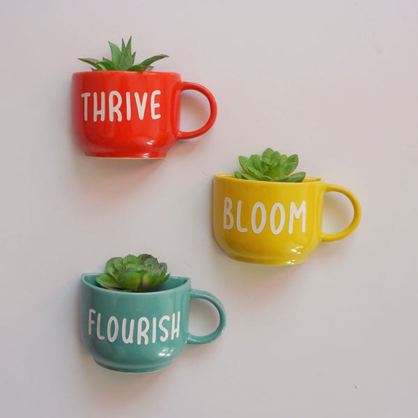 Cup Planter - Mug Planter - Wall Garden Decor - Bloom Flourish Thrive - Garden Decor - Succulent Planter - Small Pot - Home Office Accessories - Study Room Decor - Personalised Gifts - Buy Online India - Free Shipping