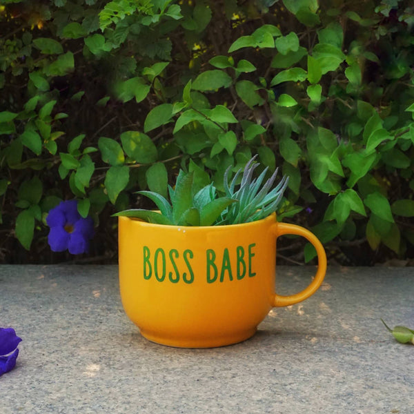 Cup Planter - Yellow Boss Babe - Wall Decor - Home Decor - Succulent Planter - Home Office Accessories - Study Room Decor - Personalised Love Gift - Buy Online India - Free Shipping