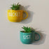 Bucket List - Cup Planters - Mug Planter - Wall Garden Decor - Succulent Planter - Small Pot - Home Office Accessories - Study Room Decor - Personalised Gifts - Buy Online India - Free Shipping