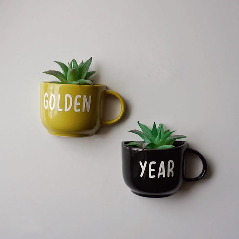 Wall Cups - Wall Mugs - Wall Garden Decor - Balcony Decor - Succulent Planter - Small Pot - Home Office Accessories - Study Room Decor - Personalised Gifts - Buy Online India - Free Shipping