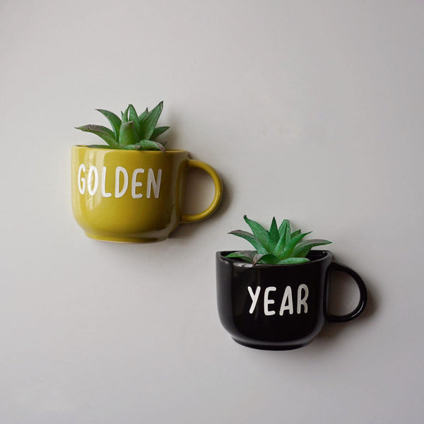 Wall Cups - Wall Mugs - Wall Garden Decor - Balcony Decor - Succulent Planter - Small Pot - Home Office Accessories - Study Room Decor - Personalised Gifts - Buy Online India - Free Shipping