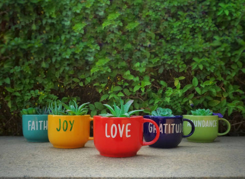 Love Gratitude Abundance Joy Faith Cup Planter Set - Mug Planters - Wall Garden Decor - Garden Decor - Succulent Planter - Small Pot - Plant Lover Gift - Buy Online India - Free Shipping