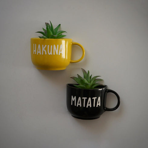 Hakuna Matata Cup Planters - Mug Planters - Wall Planters - Wall Garden Decor - Balcony Decor - Succulent Planter - Small Pot - Indoor Plants Decor - Plant Lover Gifts - Buy Online India - Free Shipping