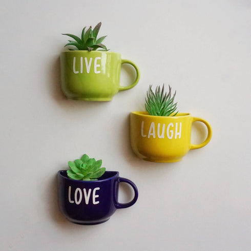 Live Laugh Love Cup Planters - Wall Planters - Mug Planters - Wall Garden Decor - Balcony Decor - Succulent Planter - Small Pot - Plant Lover Gift - Buy Online India - Free Shipping