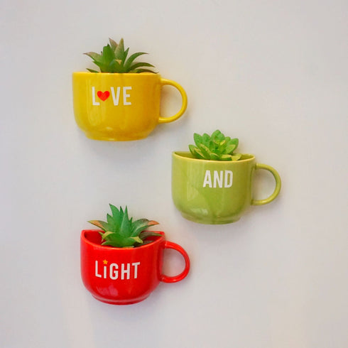 Love and Light Cup Planters - Wall Planters - Mug Planters - Wall Garden Decor - Balcony Decor - Succulent Planter - Small Pot - Plant Lover Gifts - Buy Online India - Free Shipping