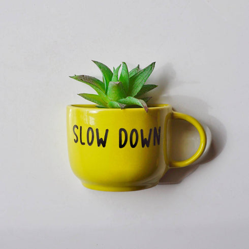 Slow Down Cup Planter - Mug Planter - Wall Garden Decor - Balcony Decor - Succulent Planter - Small Pot - Plant Lover Gifts - Buy Online India - Free Shipping