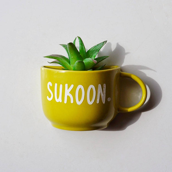 Sukoon-Wall Planter- Small Ceramic-Cup-Planter-Home Decor India- Buy online- Free-Delivery