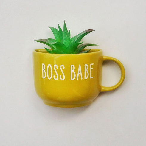 Cup Planter - Yellow Green Boss Babe - Wall Decor - Home Decor - Succulent Planter - Home Office Accessories - Study Room Decor - Personalised Love Gift - Buy Online India - Free Shipping
