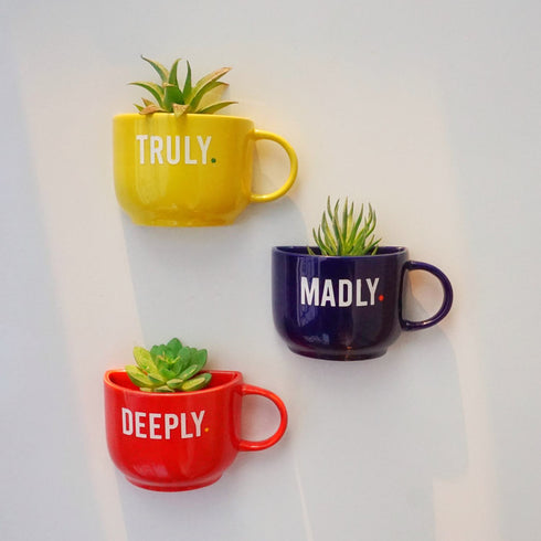 Truly Madly Deeply Cup Planters - Mug Planters - Wall Planters - Garden Wall Decor - Balcony Decor - Succulent Planter - Small Ceramic Pots - Plant Lover Gifts - Buy Online India - Free Shipping