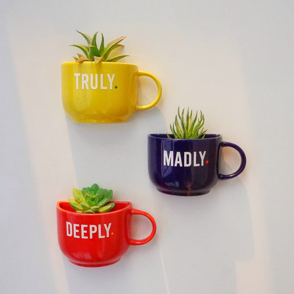 Truly Madly Deeply Cup Planters - Mug Planters - Wall Planters - Garden Wall Decor - Balcony Decor - Succulent Planter - Small Ceramic Pots - Plant Lover Gifts - Buy Online India - Free Shipping