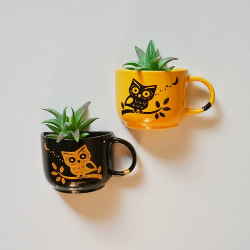 Black and Yellow Owl Cup Planters - Mug Planters - Wall Planter Set - Garden Wall Decor - Balcony Decor - Succulent Planters - Small Ceramic Pots - Plant Lover Gifts - Buy Online India - Free Shipping
