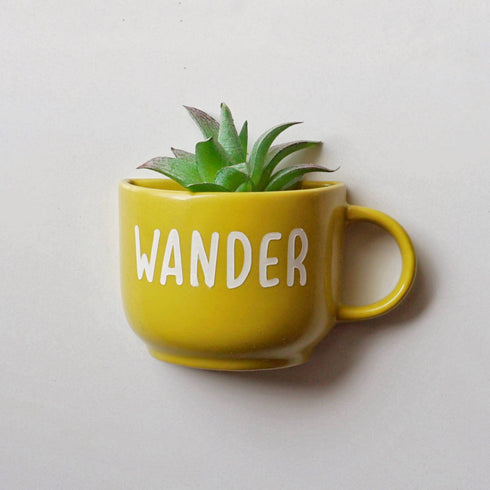 Wander-Wall Planter- Small Ceramic-Cup-Planter-Home Decor India- Buy online- Free-Delivery