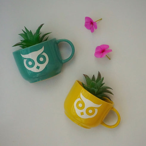 Owl Cup Planters - Mug Planters - Wall Planters - Garden Wall Decor - Balcony Decor - Succulent Planters - Small Ceramic Pots - Plant Lover Gifts - Buy Online India - Free Shipping