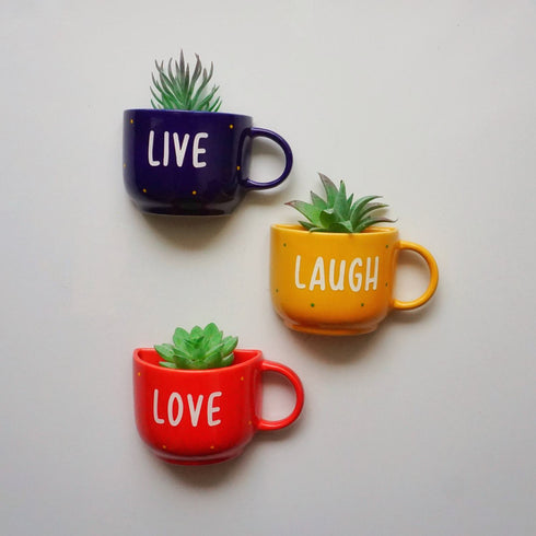 Live Laugh Love Cup Planter Set - Wall Planters - Mug Planters - Wall Garden Decor - Balcony Decor - Succulent Planter - Small Pot - Plant Lover Gift - Buy Online India - Free Shipping