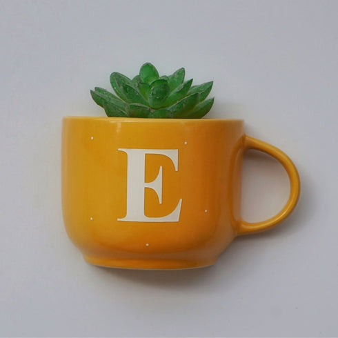 Monogram Cup Planters | Table Accessories | Personalised Gift | Wall Decor