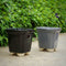 Elegant & Contemporary - Set of 2 Planters