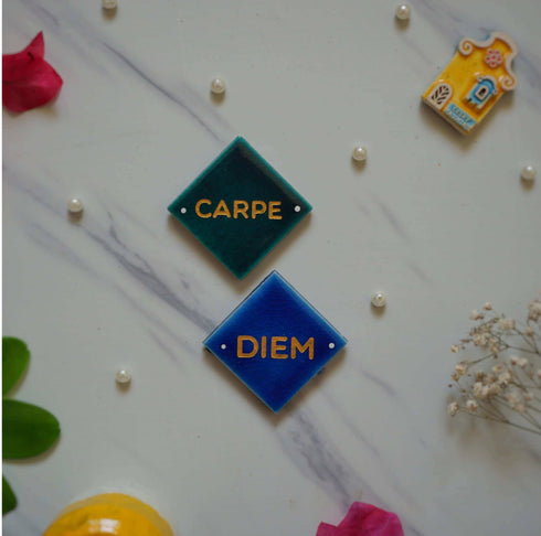 Fridge Magnets - Set of Two