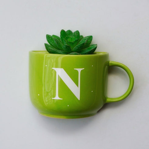 Monogram Cup Planters | Table Accessories | Personalised Gift | Wall Decor