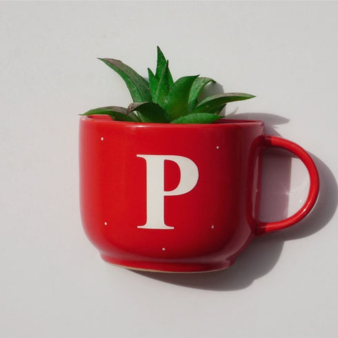Monogram Cup Planters | Table Accessories | Personalised Gift | Wall Decor
