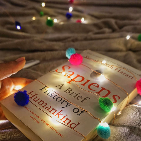 Pom Pom String Lights - 10M, 100 LEDs, USB operated