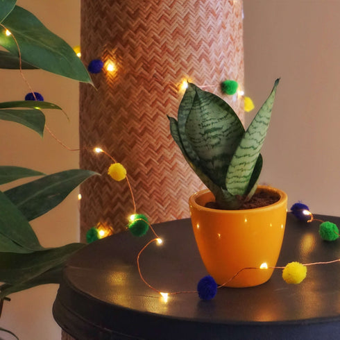 Pom Pom String Lights - Cosy Corner - String Lights Indoor and Outdoor - Colourful Pom Pom Decor - Mood Lighting - Buy Online India - Free Shipping