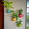 Cup Planter for Wall | Switch Words Cup Planters | - Ceramic Wall Decoration India - Buy Online - Free Shipping